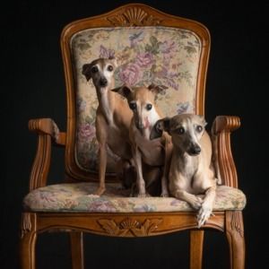 Meet your Posher, Irina